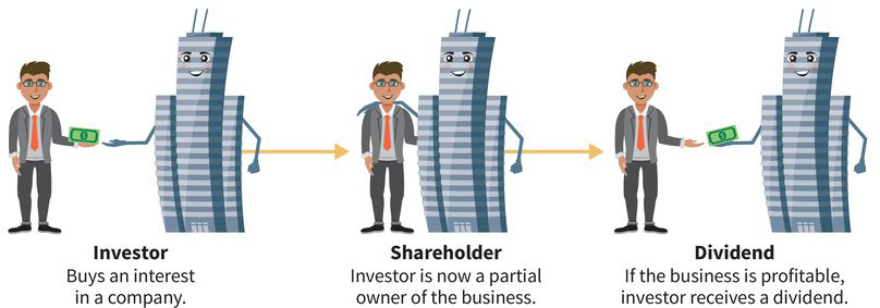an infographic showing the relationship between an investor (a man) and a company (a building): (step one) investor buys interest in the company, (step two) investor is a partial owner, and (step three) investor gets a dividend if the company makes a profit