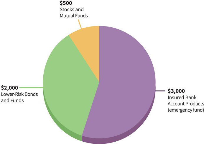 a pie chart with three sectors: (sector one, fifty-five percent or three thousand dollars) insured bank account products also called emergency funds; (sector two, thirty-five percent or two thousand dollars) lower-risk bonds and funds; (sector three, ten percent or five hundred dollars) stocks and mutual funds