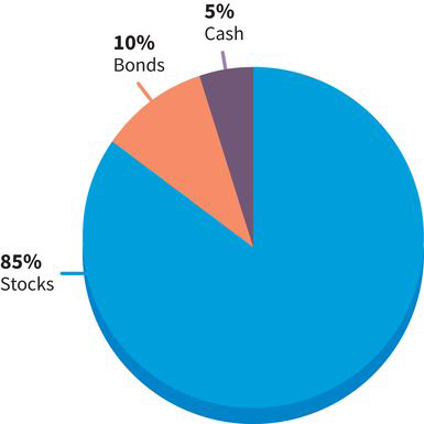 a pie chart with three sectors: (sector one) eighty-five percent stocks in blue, (sector two) ten percent bonds in red, (sector three) five percent cash in purple
