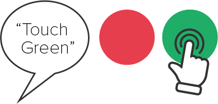 Step 6: Touch Green (with red distractor)
