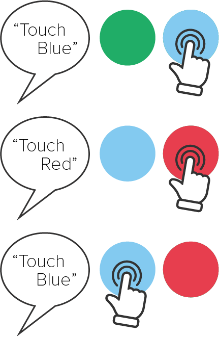 Step 4: Trial 1 - Touch Blue (with green distractor), Trial 2 - Touch Red (with blue distractor), Trial 3- Touch Blue (with red distractor)