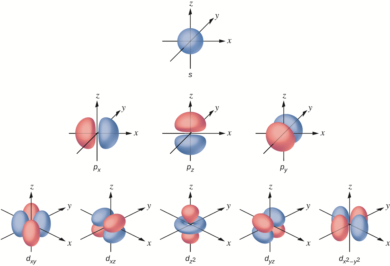 Electronic Structure of Atoms Tutorial | Sophia Learning