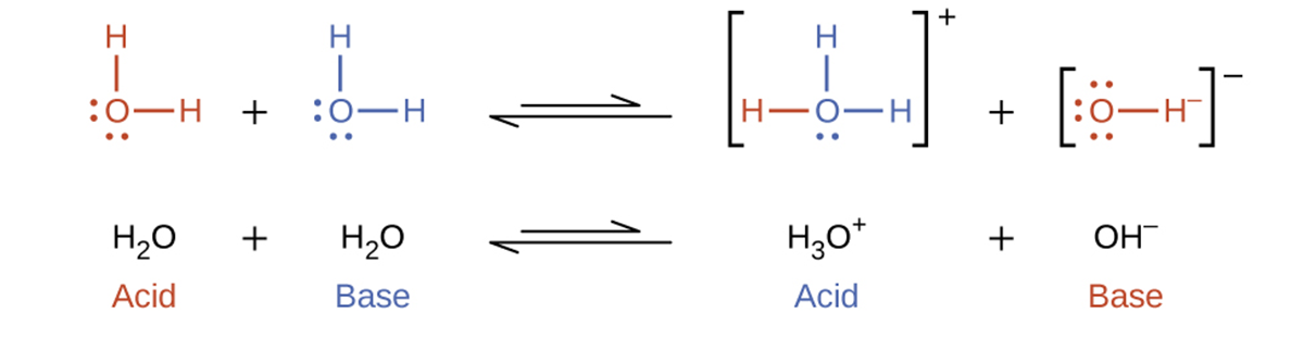 Molecular Definitions of Acids and Bases Tutorial | Sophia Learning