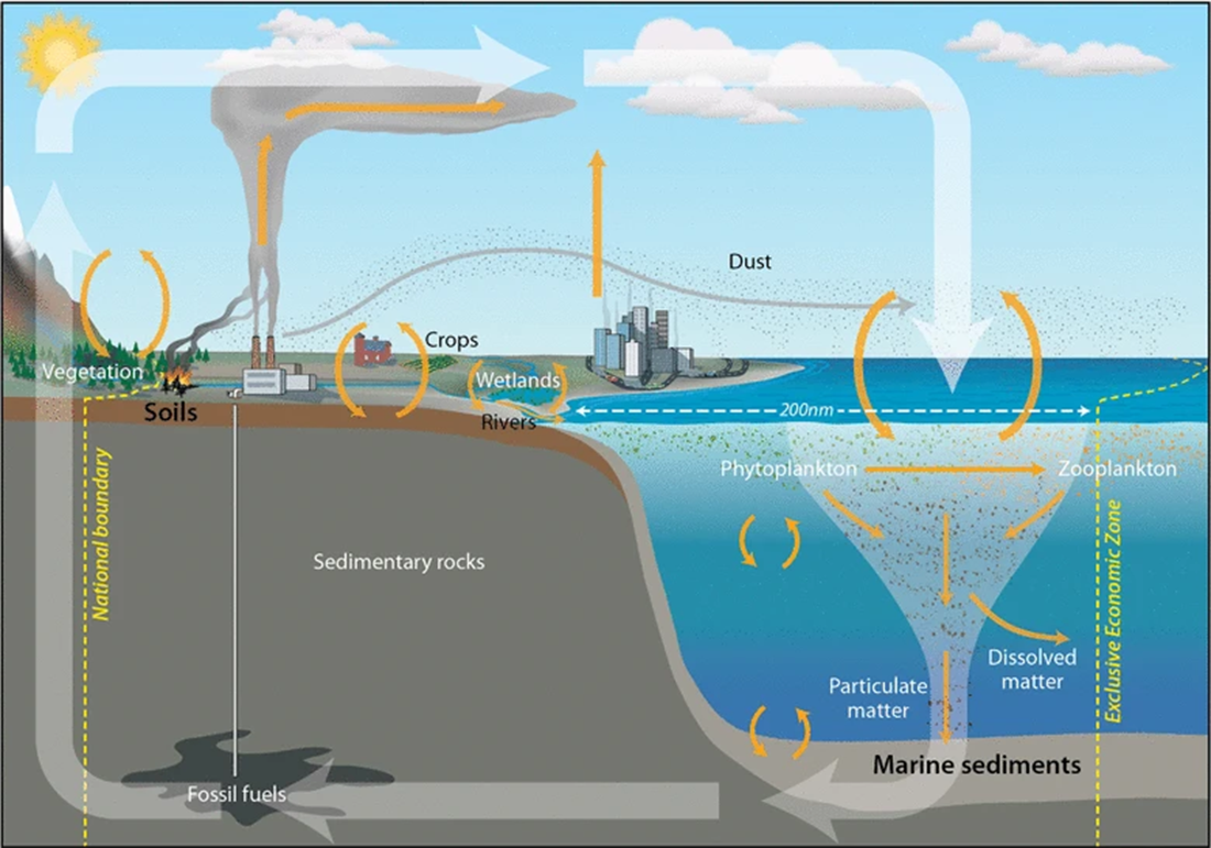 Shown is a schematic of a small portion of Earth with land and water shown. Arrows show the overall flow of carbon.  There is a fossil fuel deposit underneath the soil, carbon flows from that deposit to the surface. On the surface, vegetation both takes in and releases carbon. Power plants are shown releasing carbon. Crops both takes in and releases carbon. Cities release carbon into the atmosphere. Carbon flows from air to water. Water both releases and takes in carbon. Underneath the water, plankton shows a release and intake of carbon.  Finally, marine sediment, at the bottom of the ocean, both takes in and releases carbon.