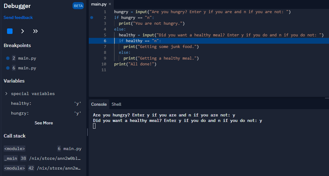 The Replit output screen showing each of the input questions.
