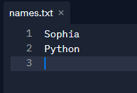 Replit screenshot of names.txt file with multiple strings.
