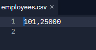 Replit screenshot of employees.csv with only one employee ID and salary.