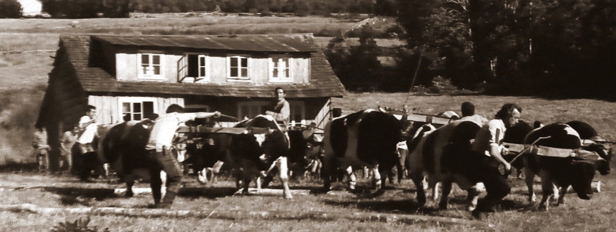 image of people moving a house
