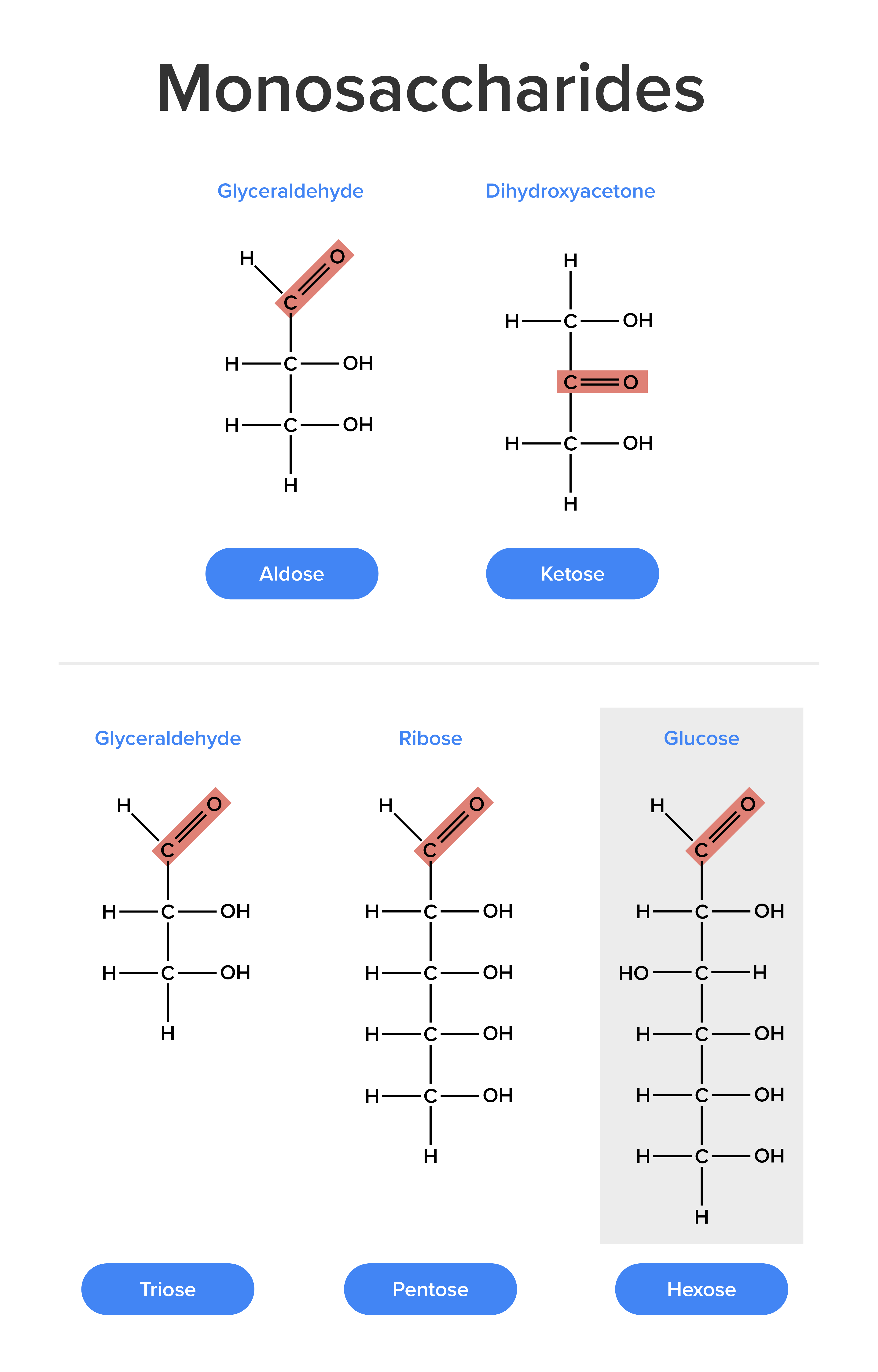 Chemical structures of Monosaccharides. On the top left, it is the chemical structure of Glyceraldehyde with aldose. On the top right, it is the chemical structure of Dihydroxyacetone with ketose. On the bottom left is the chemical structure of Glyceraldehyde with triose on the bottom. In the bottom center is the chemical structure with Pentose. On the bottom right is the chemical structure of Glucose with Hexose. Each chemical structure is labeled with their extra component labeled beneath it.