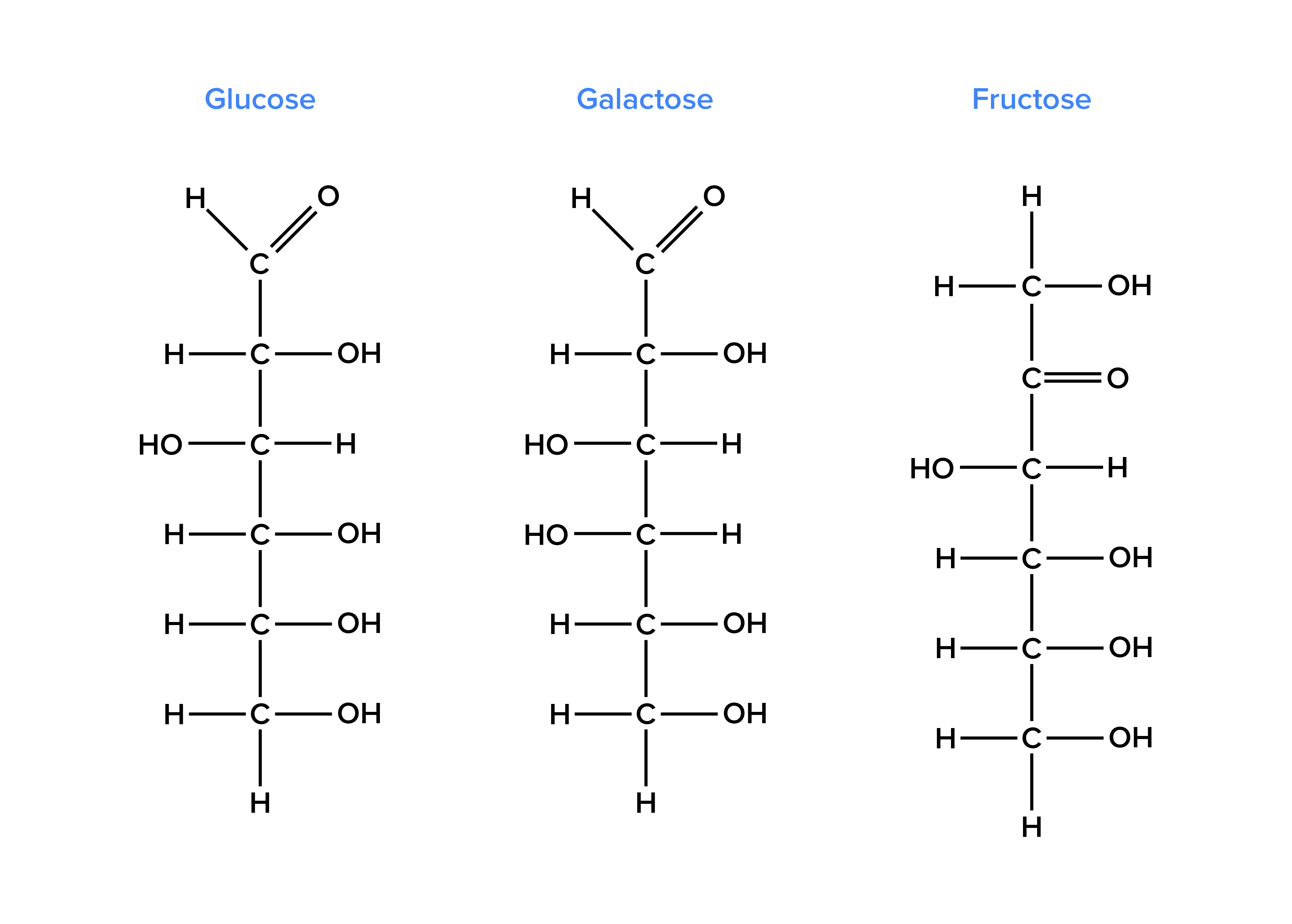 Chemical structures of glucose, galactose, and fructose. The three structures are aligned side by side.