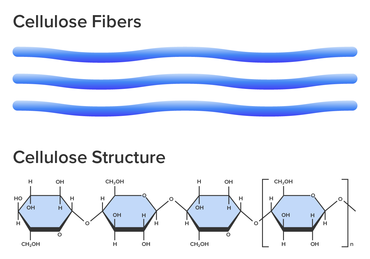 Image that shows the chemical structure of cellulose fibers and cellulose structure. On top are the cellulose fibers, and on the bottom is the cellulose chemical structure.