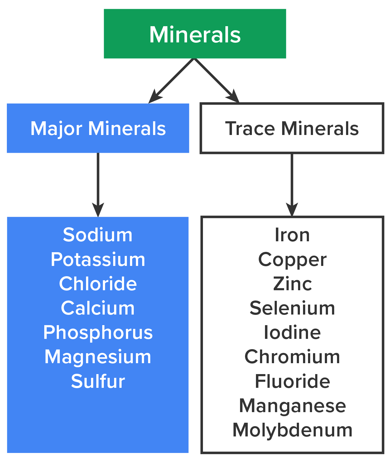 Chart of the minerals. Major minerals include: sodium, potassium, chloride, calcium, phosphorus, magnesium, and sulfur. Trace minerals include: iron, copper, zinc, selenium, iodine, chromium, fluoride, manganese, and molybdenum.