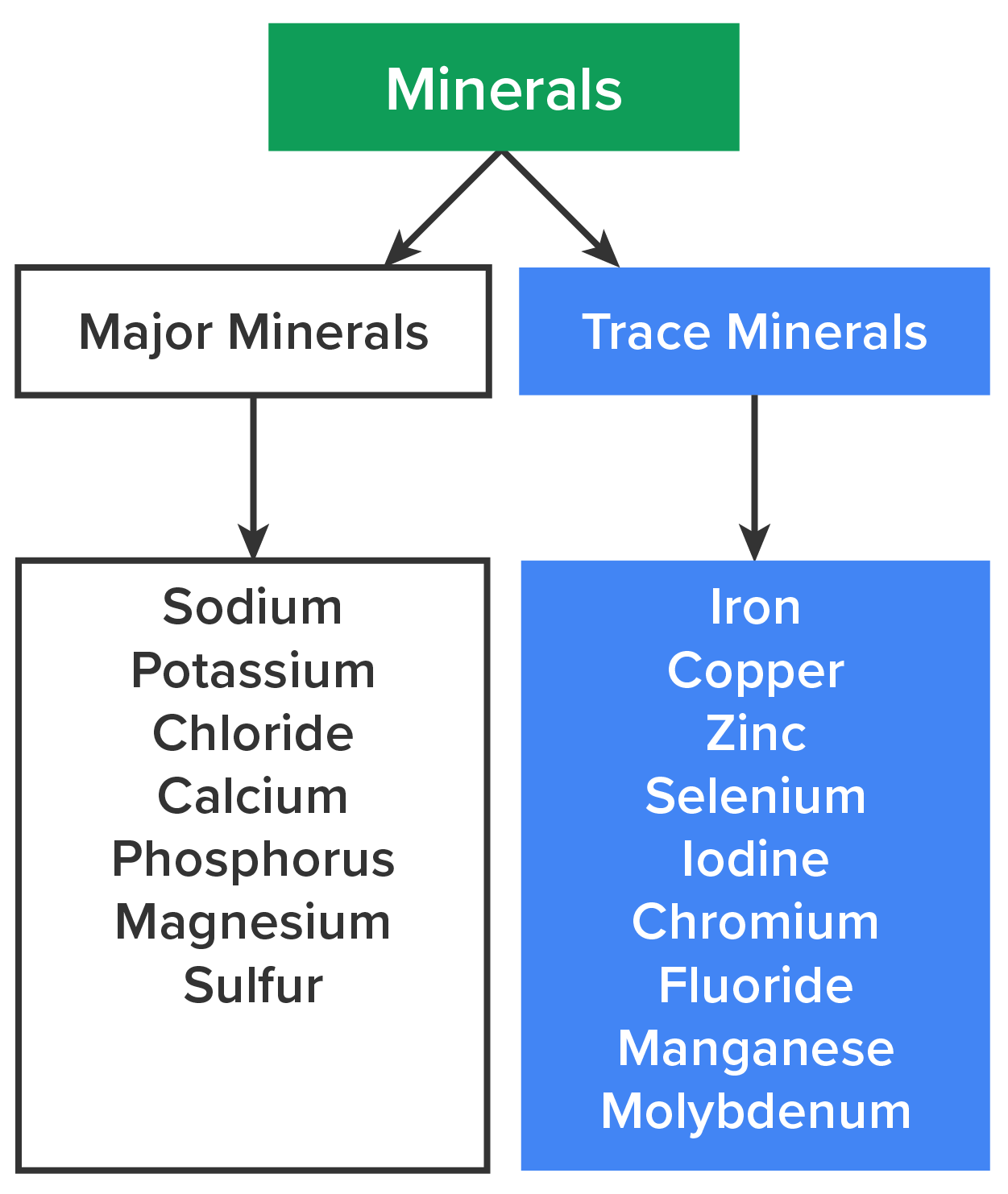 The Trace Minerals Image by Allison Calabrese / CC BY 4.0 Chart of the minerals. Major minerals include: sodium, potassium, chloride, calcium, phosphorus, magnesium, and sulfur. Trace minerals include: iron, copper, zinc, selenium, iodine, chromium, fluoride, manganese, and molybdenum.