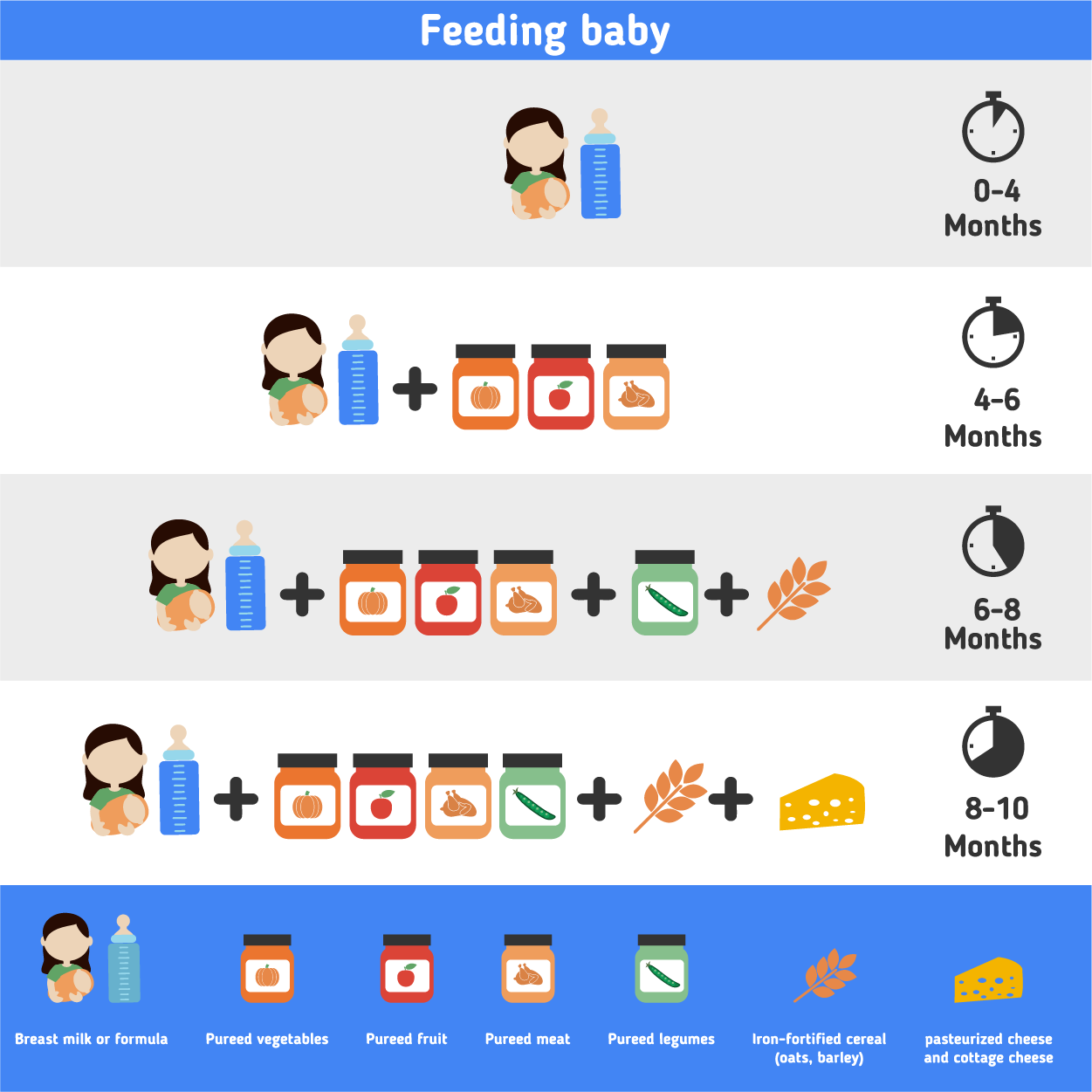 Diagram of feeding a baby. Babies 0-4 months can have breast milk or formula. For babies 4-6 months, pureed vegetables, pureed fruit, and pureed meat can be introduced. For babies 6-8 months, pureed legumes and iron-fortified cereal (oats, barley) can be introduced. For babies 8-10 months, pasteurized cheese and cottage cheese can be introduced.