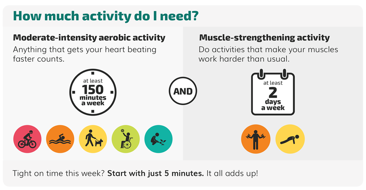 How much activity do I need? Moderate-intensity aerobic activity is anything that gets your heart beating faster counts and you should do at least 150 minutes a week. Examples include riding a bike, swimming, walking, basketball (or sports), and gardening. Muscle-strengthening activities are activities that make your muscles work harder than usual which you should do at least 2 days a week. Examples are lifting weights and pushups/planks.