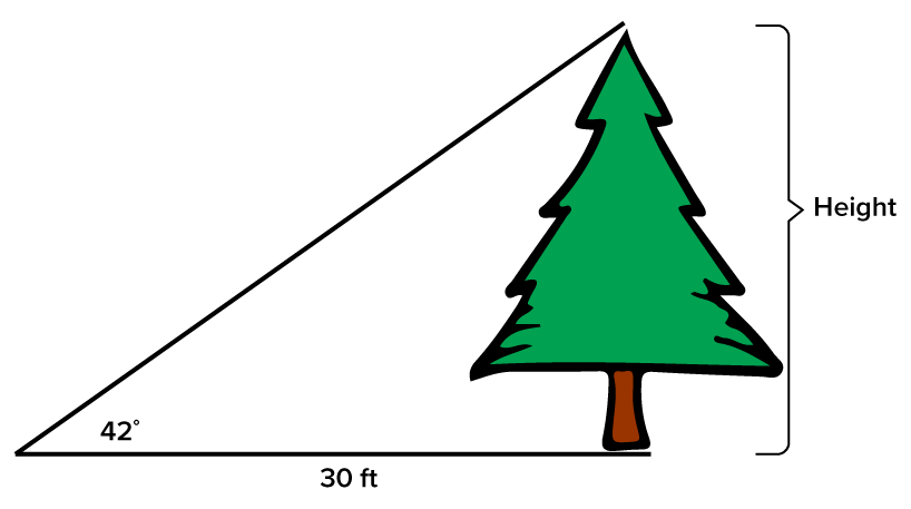A right-angled triangle with a tree representing the vertical side of the triangle. The ground represents the horizontal base of the triangle, which is labeled ‘30 ft’. The hypotenuse is represented by a line slanting upward from the ground to the top of the tree. The angle between the hypotenuse and the ground is labeled ‘42 degrees’. The vertical side is labeled ‘Height’ to indicate the height of the tree.