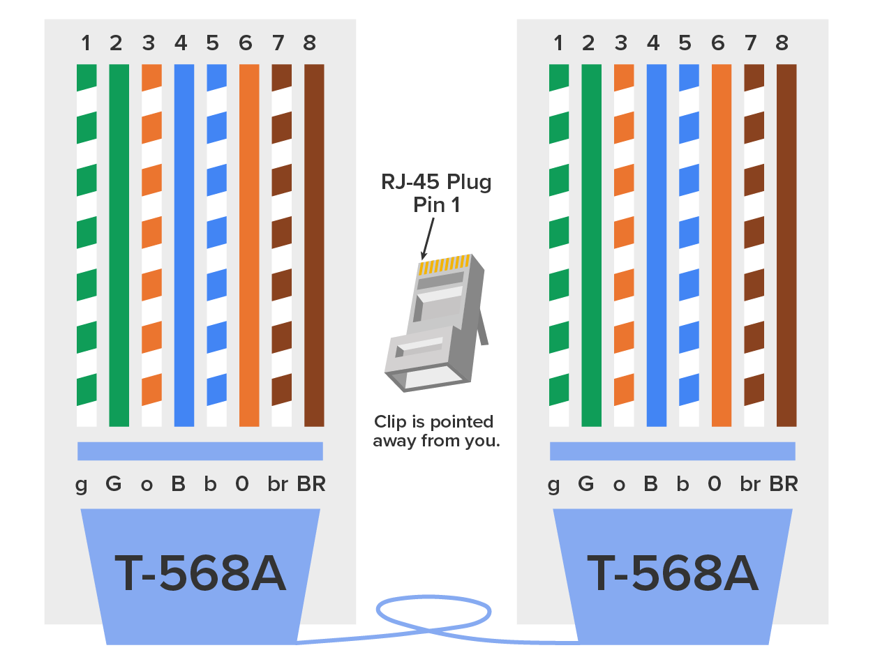 Two identical T-568A Ethernet cables are placed side by side, and both contain eight colored wiring pins numbered from 1 to 8 at the top. The lower part of both the cables is labeled ‘T-568A’. Below the wiring pins, the corresponding color codes are labeled in lowercase for double-colored pins and uppercase for single-colored pins, from left to right: g, green-white; G, green; o, orange-white; B, blue; b, blue-white; O, orange; br, brown-white; and BR, brown. An RJ-45 plug is in the center with its clip pointed away to indicate the correct orientation of Pin 1.
