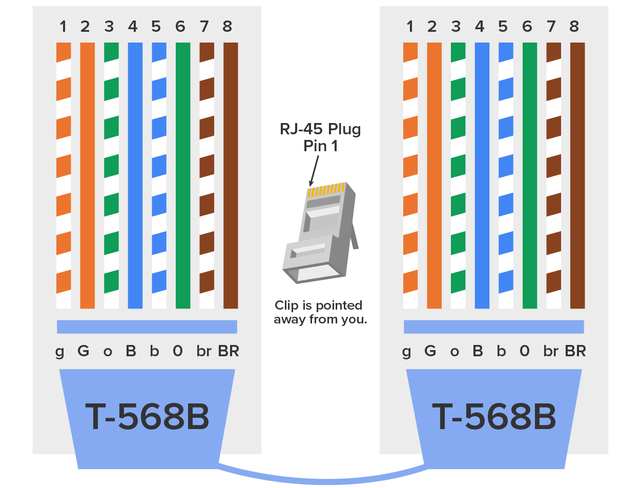 Two T-568B Ethernet cables are placed side by side, and both contain eight colored wiring pins numbered from 1 to 8 at the top. The lower part of both the cables is labeled ‘T-568B’. Below the wiring pins, the corresponding color codes are labeled in lowercase for double-colored pins and uppercase for single-colored pins, from left to right: g, orange-white; G, orange; o, green-white; B, blue; b, blue-white; O, green; br, brown-white; and BR, brown. An RJ-45 plug is in the center with its clip pointed away, indicating the correct position of Pin 1.