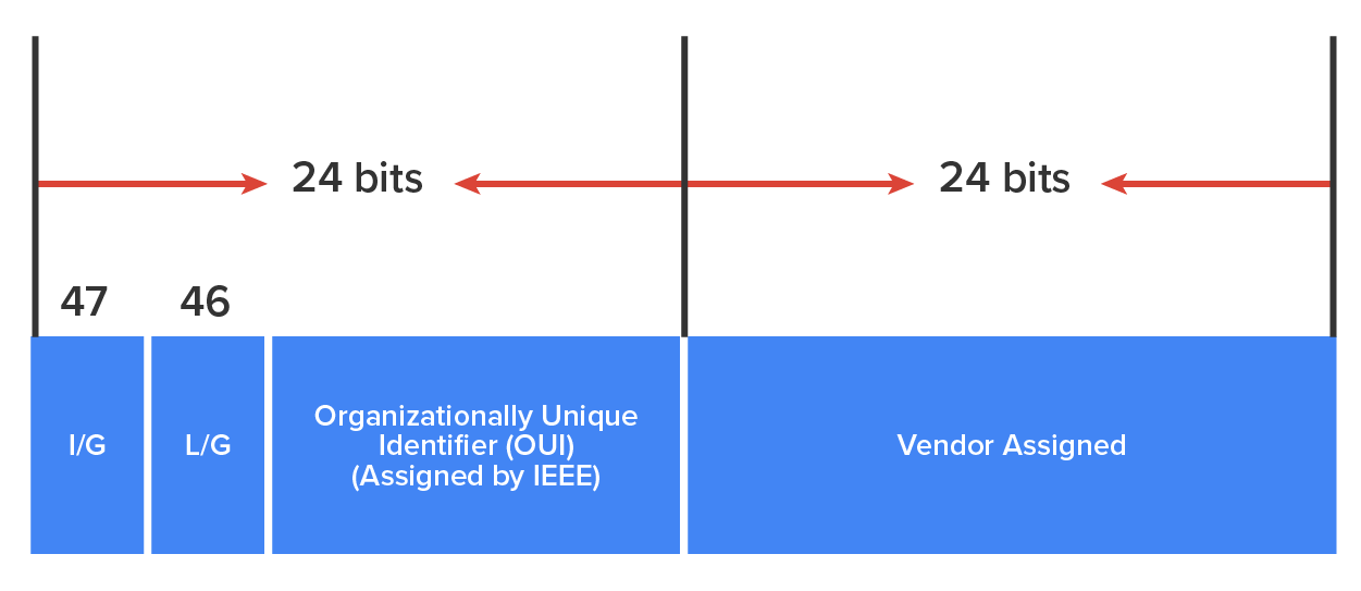 A 48-bit MAC address is divided into two main sections. In the section on the left, the first 24 bits are labeled ‘Organizationally Unique Identifier, OUI, Assigned by IEEE’ and are further divided into two segments: the 47th bit labeled ‘I/G’ and the 46th bit labeled ‘L/G’. The section on the right has the second 24 bits and is labeled ‘Vendor Assigned’. Both 24-bit sections are marked with double-headed arrows above them.