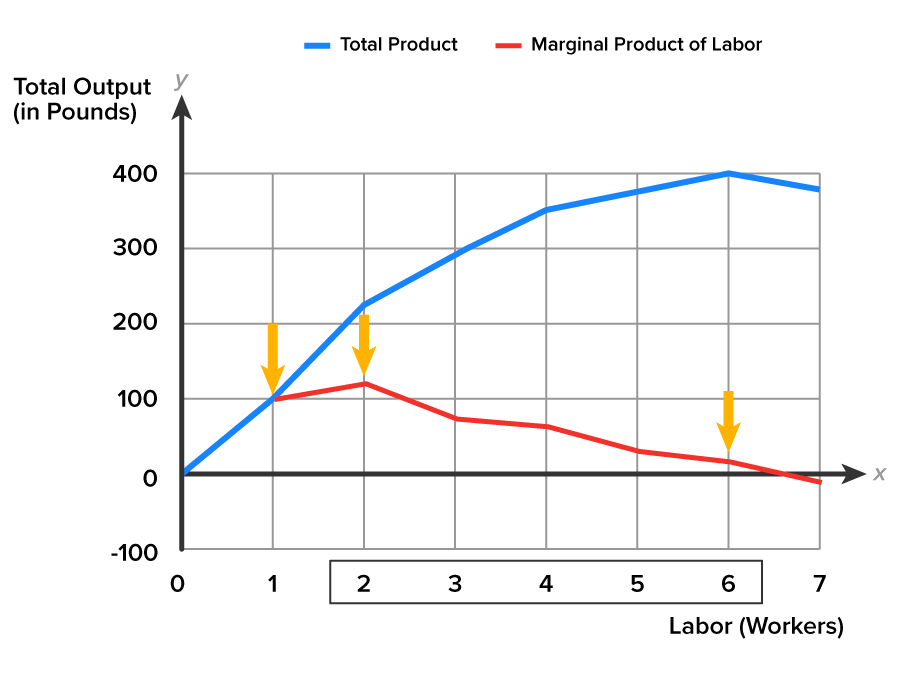 A graph with the x-axis labeled ‘Labor, Workers’ and the y-axis labeled ‘Total Output, in Pounds’. The y-axis ranges from −100 to 400 at intervals of 100, and the x-axis ranges from 0 to 7. The graph shows two lines, where one line (blue) slopes upward from (0, 0) and rises steadily, passing through (1, 100) up to (6, 400). From here, it falters downward a little before moving beyond y equals 400 and x equals 6. The second line (red) begins from (1, 100) and moves slightly upward at (2, 120), before extending downward up to (6, 20) and beyond x equals 7. The blue line represents ‘Total Product’, while the red line represents ‘Marginal Product of Labor’. Three arrows point downward: the first arrow points toward (1, 100), the second arrow points at (2, 120), and the third arrow points toward (6, 20).