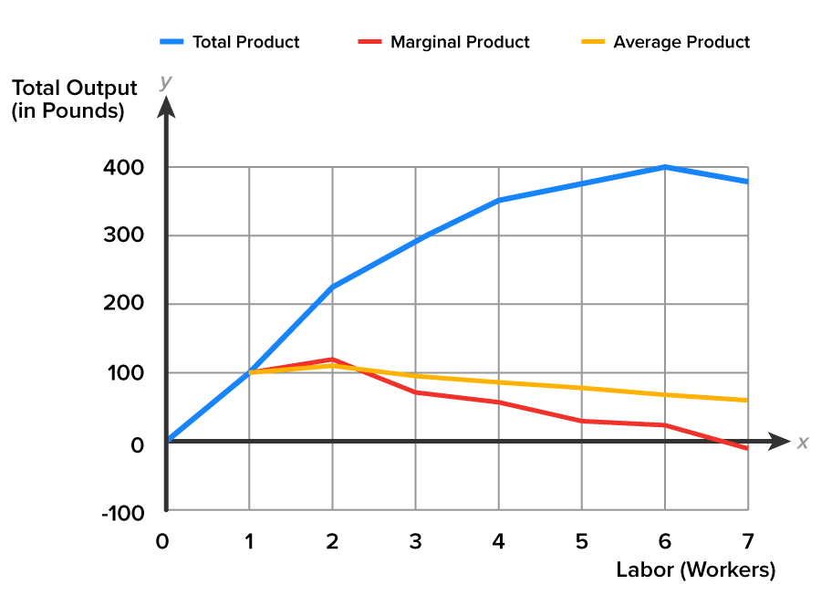 A graph with the x-axis labeled ‘Labor, Workers’ and the y-axis labeled ‘Total Output, in Pounds’. The y-axis ranges from −100 to 400 at intervals of 100, and the x-axis ranges from 0 to 7. The graph shows three lines, where the first line (blue) slopes upward from (0, 0) and rises steadily, passing through (1, 100) up to (6, 400). From here, it falters downward a little before moving beyond (7, 390). The second line (red) begins from (1, 100) and moves slightly upward up to (2, 120) before extending downward and passing through the points (3, 70), (4, 60), and beyond (6, 20). The third line (yellow) begins from (1, 100) and passes through the points (2, 110), (3, 96.7), (4, 87.5), and (7, 55.7). The blue line represents ‘Total Product’, the red line represents ‘Marginal Product’, and the yellow line represents ‘Average Product’.
