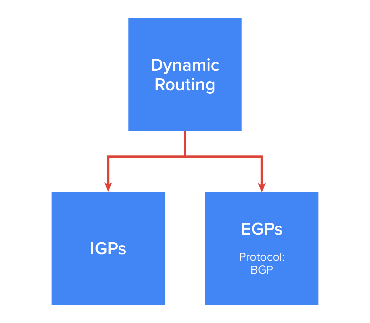 Dynamic Routing Options
