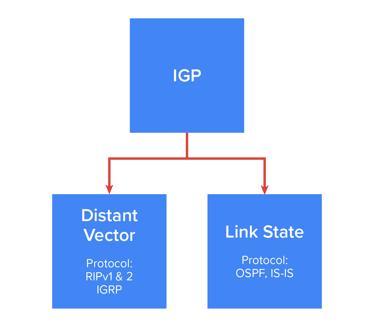 DV and LS Routing Protocols
