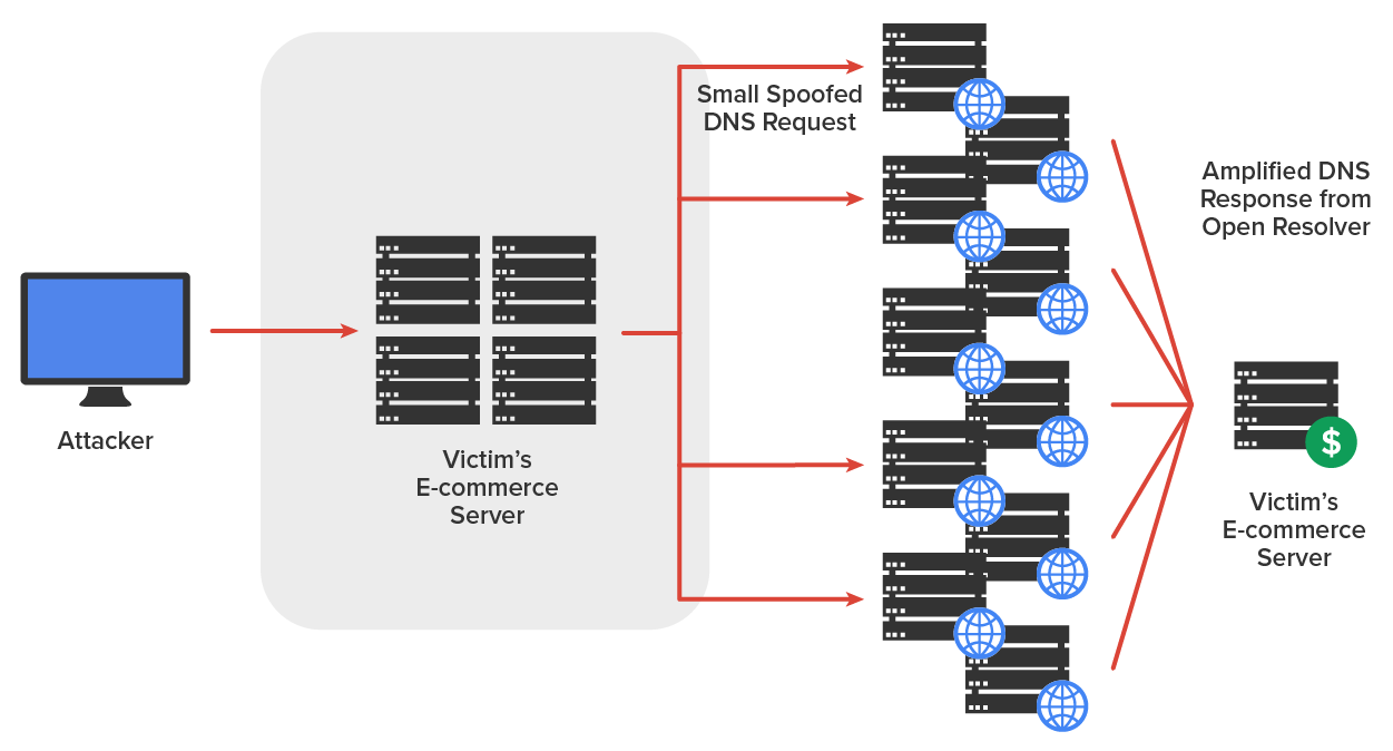 The network setup is divided into three sections. 1) Left Side: A computer icon is labeled ‘Attacker’. A arrow points from the attacker to the ‘Victim’s E-commerce Server’, which is shown in the center of the left-side section as a stack of four servers. 2) Center: Several arrows extend from the victim’s server to the right, labeled ‘Small Spoofed DNS Request’. These arrows point to multiple DNS servers shown in rows, each with a globe icon representing internet connectivity for each server. 3) Right Side: From each pair of DNS servers, arrows point to the server labeled ‘Victim’s E-commerce Server’, marked with a dollar sign to indicate a financial target or service disruption. These arrows are labeled ‘Amplified DNS Response from Open Resolver’.