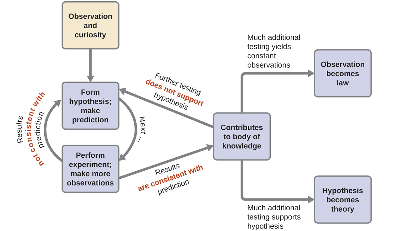 A schematic of the scientific method and how this process informs theories and laws