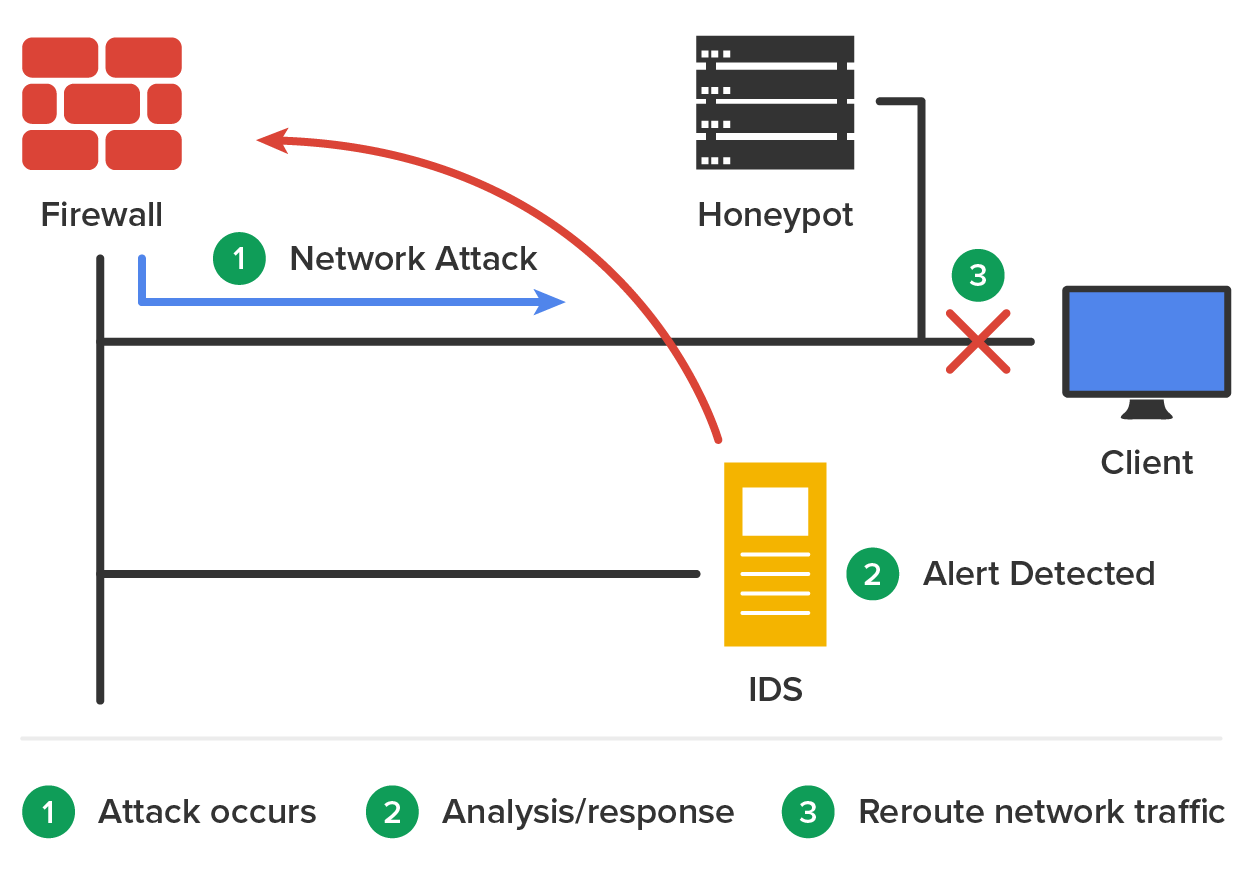 An intrusion detection system (I D S) with a honeypot setup. The setup includes a Firewall, Honeypot, I D S, and a client computer. A brick icon labeled ‘Firewall’ is positioned at the start of the network path on the left, followed by a device labeled ‘Honeypot’ on the right, with the device labeled ‘I D S’ placed below the ‘Honeypot’. A computer labeled ‘Client’ is located to the right of the Honeypot. A vertical cable extends from the ‘Firewall’ and splits into two horizontal cables, where one connects to the ‘Client’ and the other to the ‘I D S’. Another vertical cable branches out from the existing cable close to the ‘Client’ and connects to the ‘Honeypot’. An arrow labeled ‘1 Network Attack’ extends from the firewall toward the client computer, indicating an attempted attack. The I D S detects an attack, indicated by the label ‘2 Alert Detected’, representing the system’s analysis and alert response. A curved arrow from the I D S redirects the attack traffic away from the Client and back toward the Firewall. A cross mark labeled ‘3’ on the cable near the ‘Client’ signifies that the rerouted attack was blocked, preventing it from reaching the client.