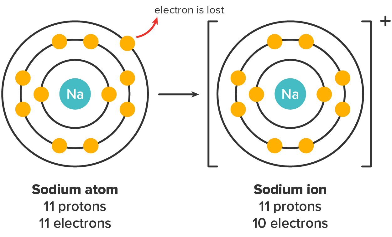 Isotopes and Ions Tutorial | Sophia Learning