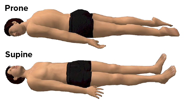 An individual lying down, exemplifying common anatomical positions. In the top image, the individual is lying face down in a prone position.  In the bottom image the individual is lying face up in the supine position.