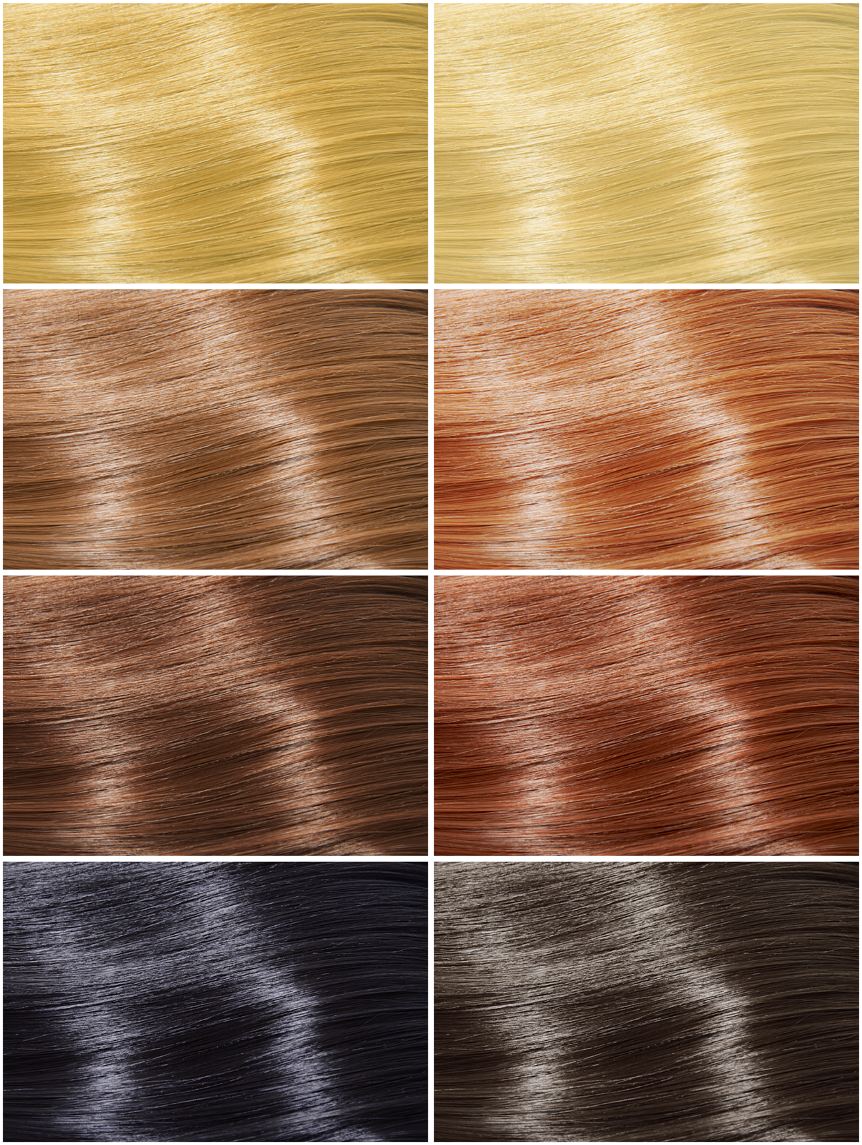 Hair Color -The melanin produced by melanocytes in the hair bulb determines natural hair color. image shows a variety of hair pigments, from light yellows to reds, browns, and darker shades and black.