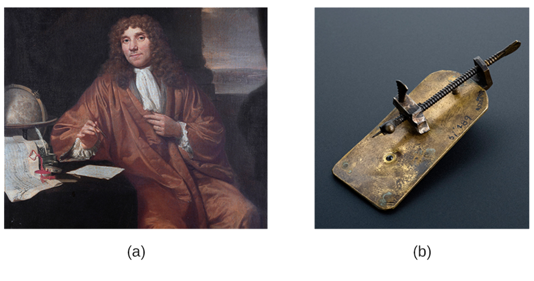 The image on the left, labeled a, is a drawing showing Antonie van Leeuwenhoek sitting with one arm on a table covered with papers. The image on the right, labeled b, shows a small metal plate with a long screw attached along its length. The tip of the screw is a fine point that sits just in front of an opening on the plate.