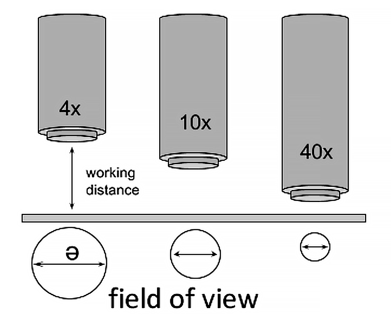 An image demonstrating field of view and working distance, as it relates to the objective lens and slide.