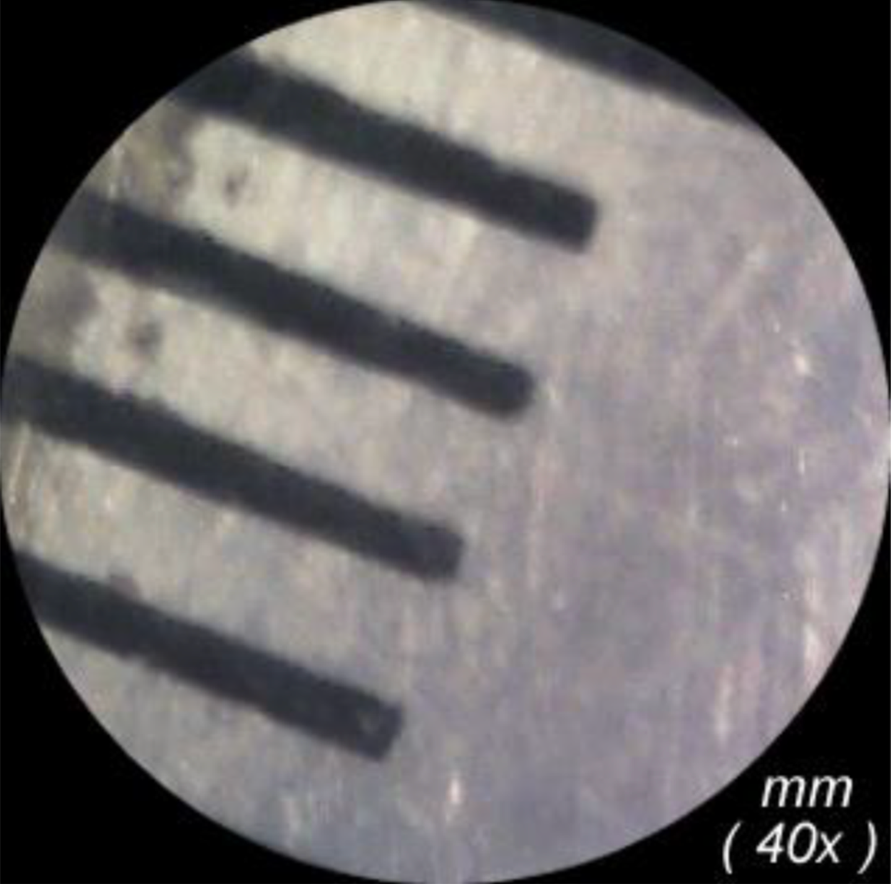 40x field of view image of a clear mm ruler.