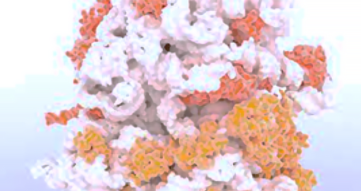 RNA and protein assembly viewed with Computational Microscopy