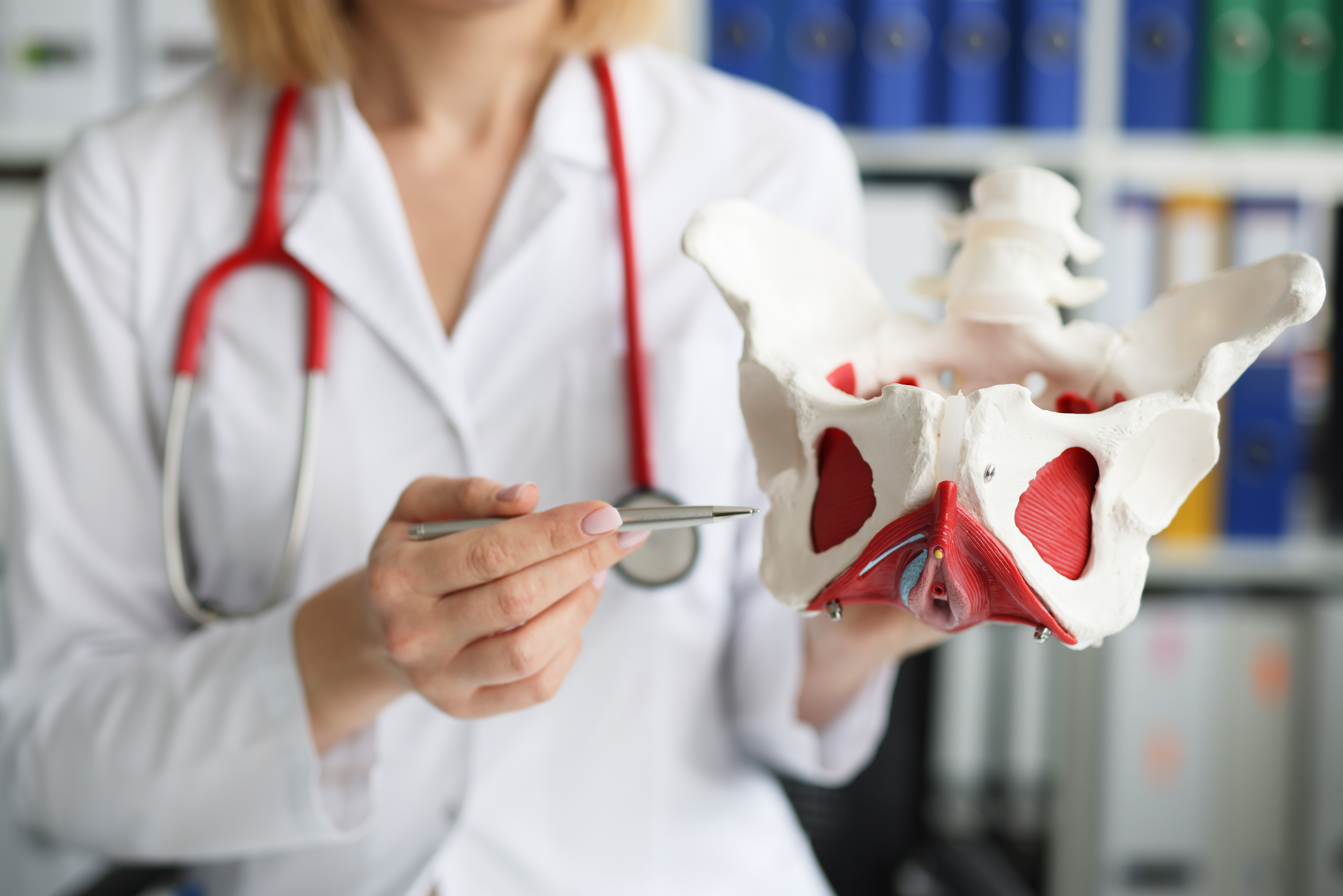 A photo of a woman wearing a lab coat gesturing to a model of the human pelvis.