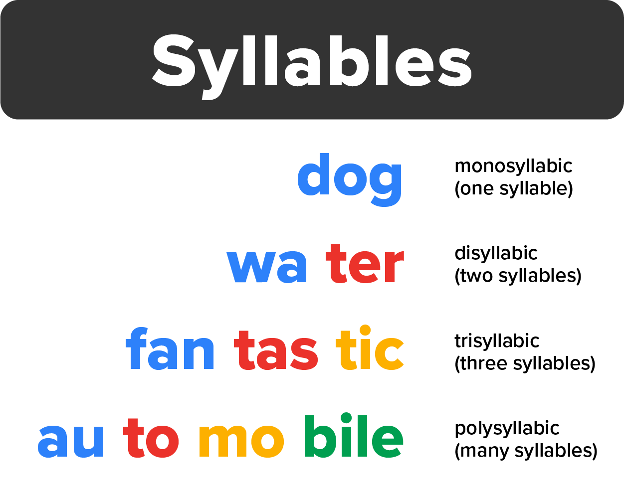 Syllables: 'dog' is monosyllabic (one syllable). 'wa-ter' is disyllabic (two syllables). 'fan-tas-tic' is trisyllabic (three syllables). 'au-to-mo-bile' is polysyllabic (many syllables).