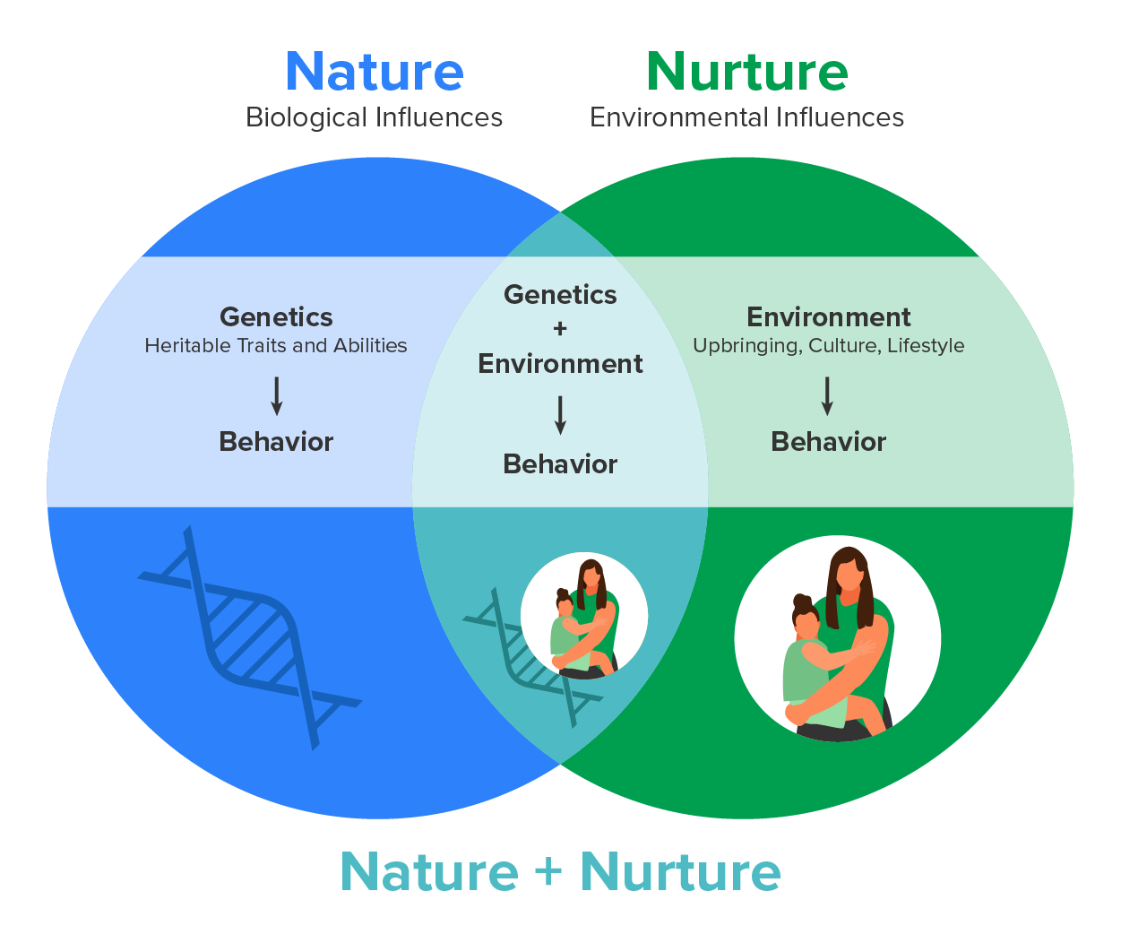 A Venn diagram showing the two sides of the nature vs. nurture debate. On one side, the genetic influence on behavior is featured along with an illustration of a DNA double helix. On the other side, the environmental influences on behavior are featured, along with an illustration of a mother holding her baby. In the center, nature and nurture come together to communicate that both genetics and the environment can influence behavior.
