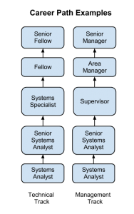 a table showing two career paths, one is a technical track ranging from systems analyst to senior fellow, and the other is a management track ranging from systems analyst to senior manager