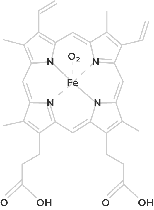 chemical structure graphic of hemoglobin.