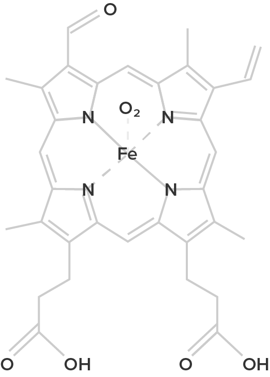 chemical structure graphic of chlorocruorin.