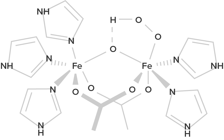 chemical structure graphic of hemerythrin.