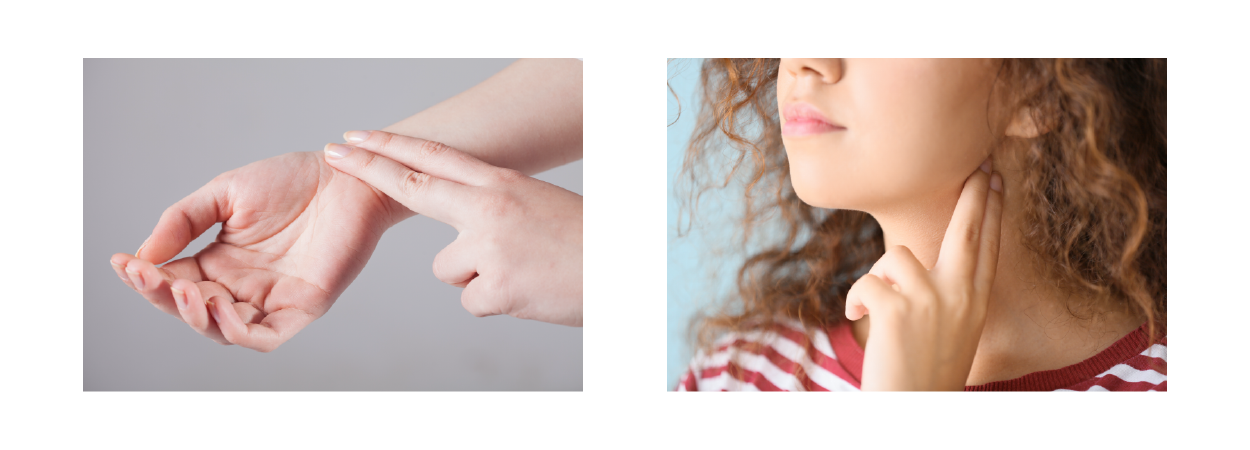 The left image shows an individual taking their pulse using two fingers to press on the radial artery on their wrist. 