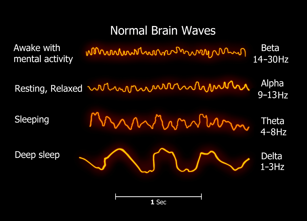EEG output of four types of normal brain waves are shown. Beta waves occur at 14–30 Hertz when the brain is awake with mental activity. Alpha waves occur at 9–13 Hertz when the brain is resting or relaxed. Theta waves occur at 4–8 Hertz when the brain is sleeping. Delta waves occur at 1–3 Hertz during deep sleep.