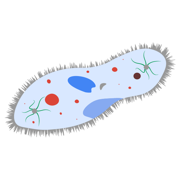 An illustration of a antibody.