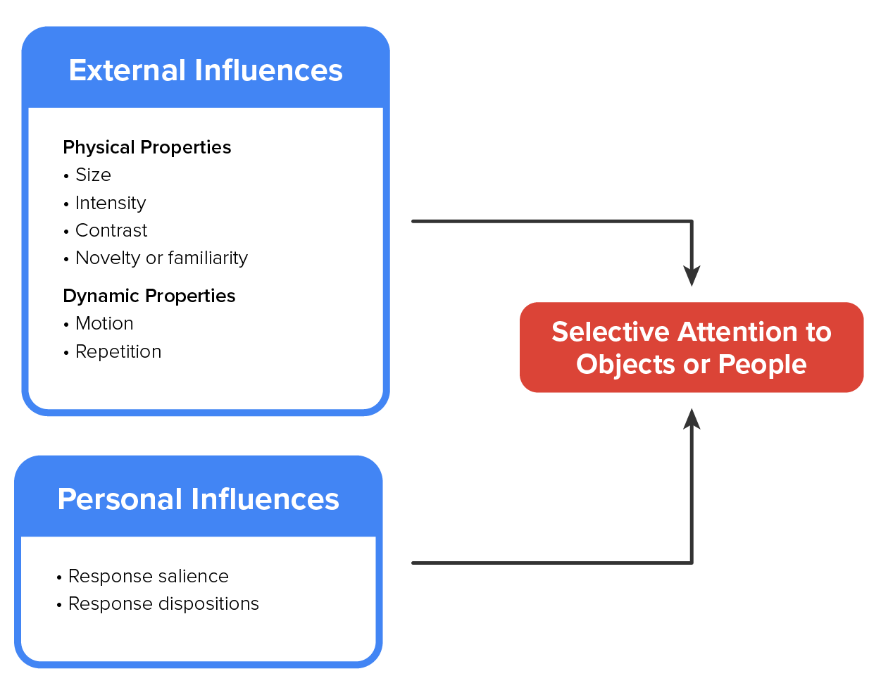 Perception and Personal Influences Tutorial | Sophia Learning