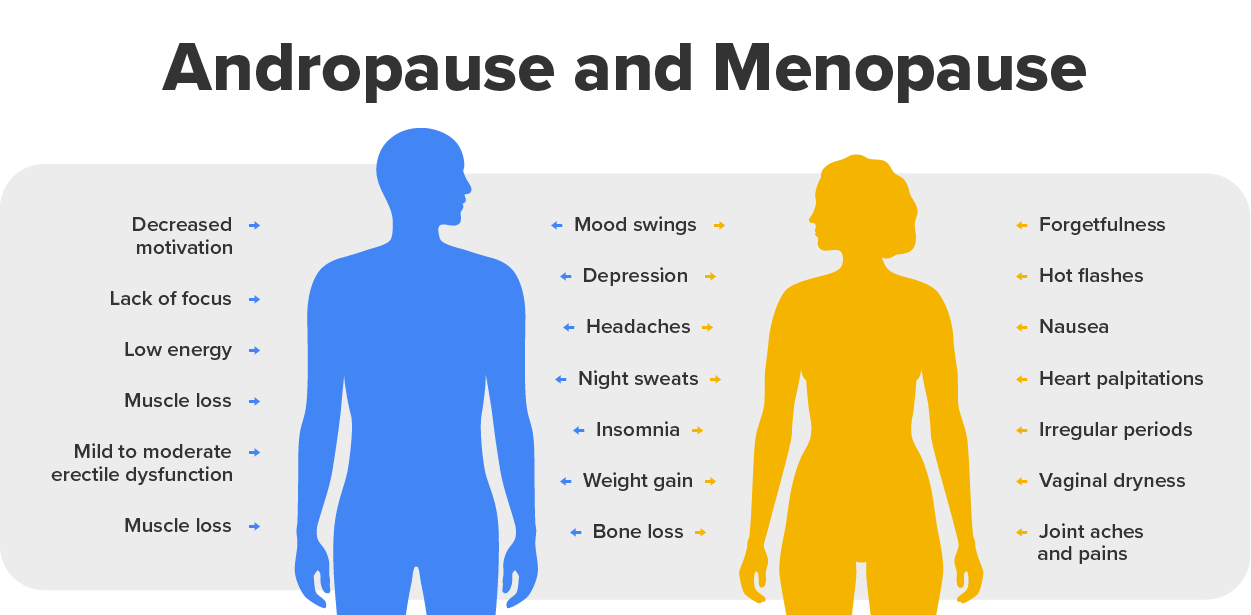 Image that depicts the symptoms of menopause and andropause. Symptoms of menopause include forgetfulness, hot flashes, nausea, heart palpitations, irregular periods, vaginal dryness, and joint aches and pain. Symptoms of andropause include decreased motivation, lack of focus, low energy, muscle loss, mild to moderate erectile dysfunction, and muscle loss. Symptoms of both include mood swings, depression, headaches, night sweats, insomnia, weight gain, and bone loss.