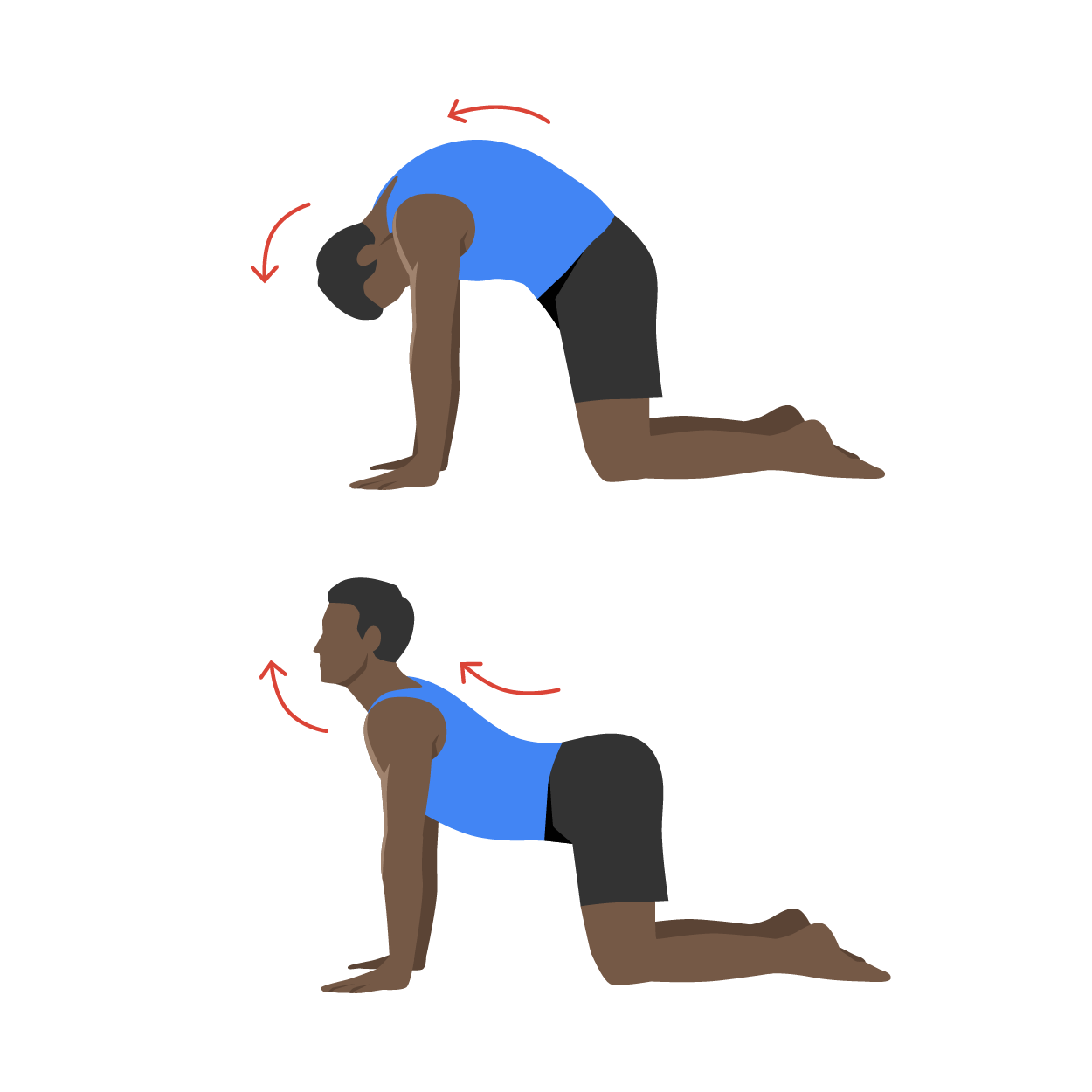 The cat-camel exercise.